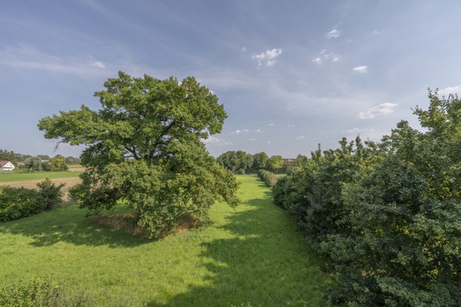 Blick ins Gr�ne Etagenwohnung Puchheim / Puchheim-Bahnhof