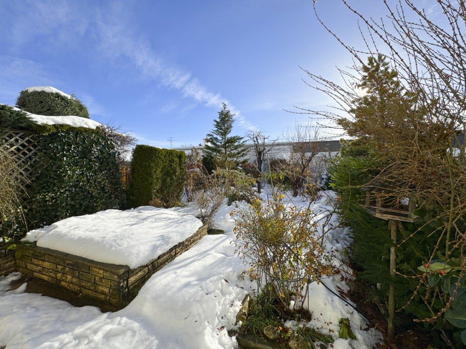 Blick in den Garten Reihenmittelhaus Germering / Unterpfaffenhofen
